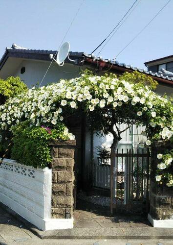 Single-Story 5SDK Home with Tatami Rooms in Tokushima, Tokushima